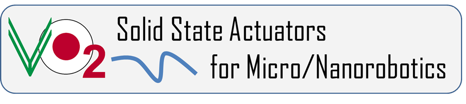 Solid State Actuators for Micro/Nanorobotics